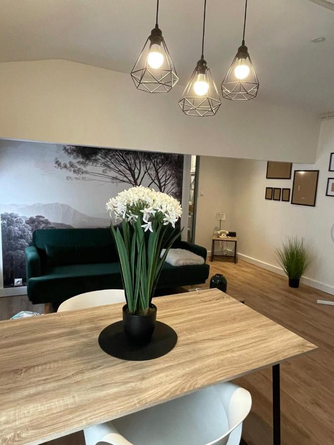 Magnifique Appartement Au Coeur De La Ville Béziers Kültér fotó